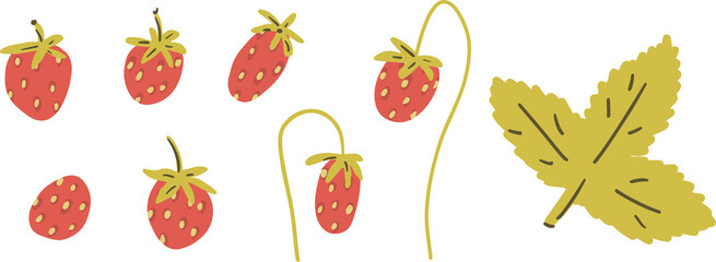 Wild strawberry and leaf vector clipart set hand drawn childish flat style isolated on white background.