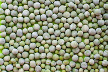 Green Peas background texture vegetable