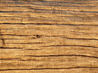 wood texture background