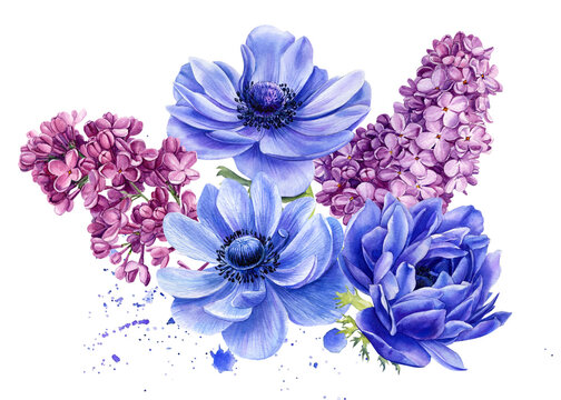 watercolor blue anemones and purple lilac flowers clip art preview