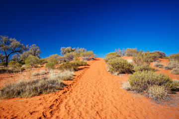 Outback Landscape in Northern Territory Australia