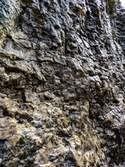 Texture roccia di montagna corrosa dal vento