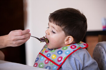 family, food, child, eating and parenthood concept - mother with natural food and spoon feeding little baby at home 