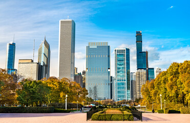 Obraz premium Skyline of Chicago at Grant Park in Illinois - United States
