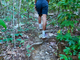 A single man walking and exercising in the woods