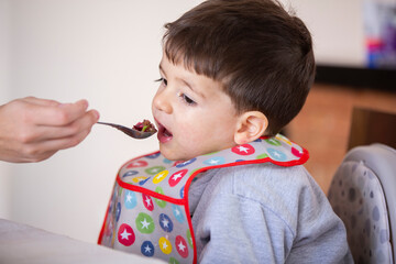 family, food, child, eating and parenthood concept - mother with natural food and spoon feeding little baby at home 