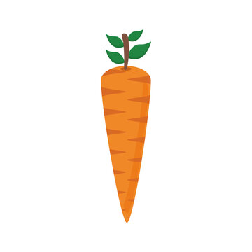 carrot flat style icon design, Vegetable organic food healthy fresh natural and market theme Vector illustration