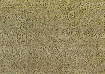 Beige color with gold color pattern, leather background texture