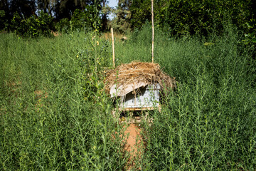 a traditional beehive in nature
