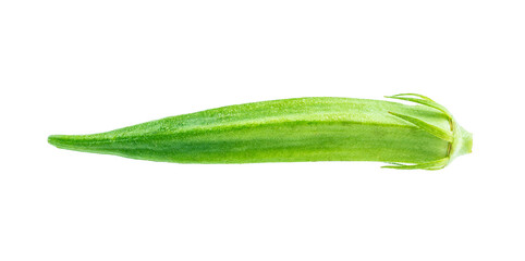 One fresh okra on white background