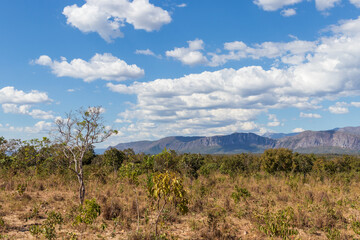 Cerrado com árvores e montanhas em Cavalcante, Goiás.