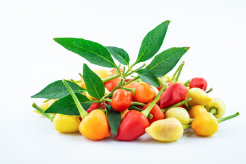 Bunch of fresh colorful peppers on white background