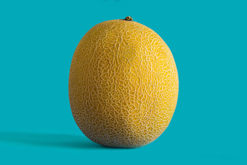 Cantaloupe yellow melon fruit on blue background