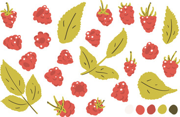 Raspberry, raspberry leaf vector clipart set hand drawn childish flat style isolated on white background.