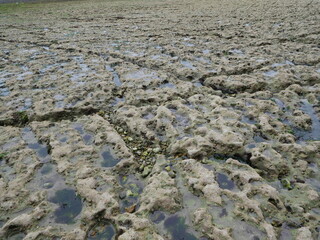 Roche Texture Mer Côte Pierre