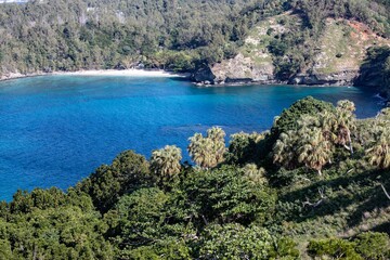 小笠原諸島　父島
