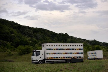 truck with hives in the glade. car for transporting beehives