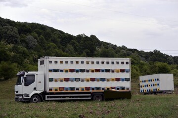 truck with hives in the glade. car for transporting beehives