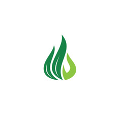 Leaves and Flame logo / icon design