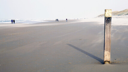 beach sand dunes