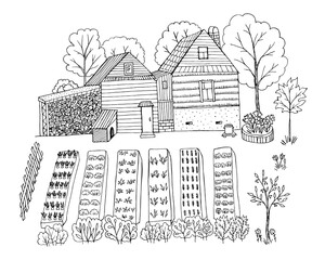Vector illustration of a village house. Hand drawn beds with vegetables, fruit trees. Isolated elements on a white background. Agricultural farming, vegetable growing, gardening. Sketch in black ink.