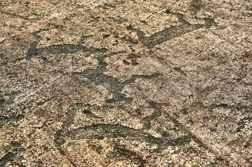 Petroglyphs in Karelia, Belomorsk district, Russia.