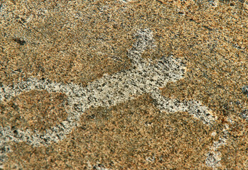 Petroglyphs in Karelia, Belomorsk district, Russia.