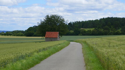 Obraz premium Wander- und Radweg im Heckengäu mit Getreidefeldern, Baum und Scheune