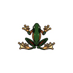 vector illustration of green frog