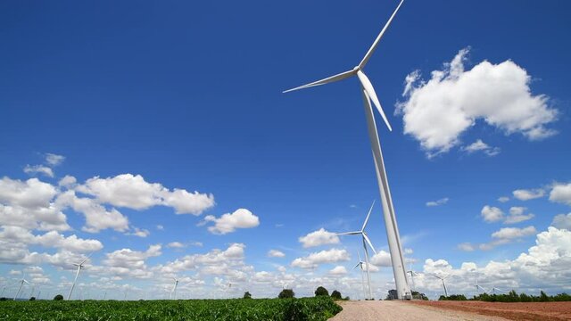 Windmills for electric power production with white cloud and blue sky at Huai Bong, Dan Khun Thot district, Nakhon Ratchasima THAILAND. renewable energy and save  environmental concept.