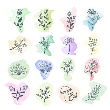 Big set of hand drawn floral elements with watercolor background for design, stock vector illustration