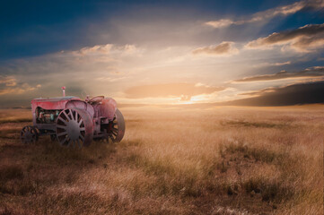 Fototapeta premium sunset over the field
