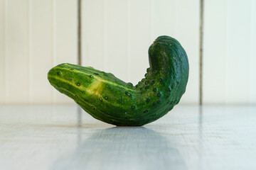 Deformed homegrown cucumber lying on the table in light kitchen. Farmers vegetables is good for nutrition because it contain many vitamins and microelements. Horizontal photo with copy space.