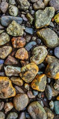 Colorful Pebbles stones near a river in western ghats.
