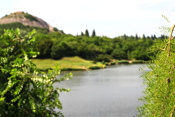 Fototapeta na wymiar Tree foliage on the background of the lake.