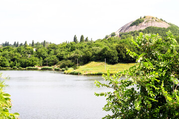 Tree foliage on the background of the lake.