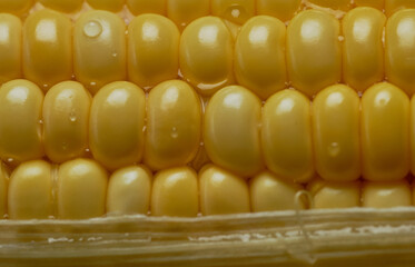 close-up view of the yellow corn seeds