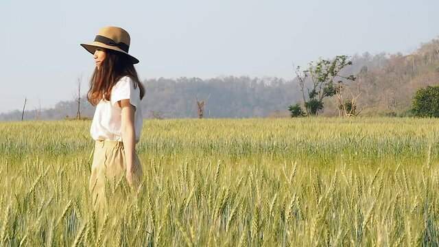 Woman walking and Turn around through barley field in a sunset light. Slow motion.