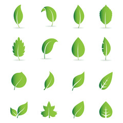 Abstract leaf icon set isolated on white background. Collection of leaf icons for symbol, logo, sign, label and app. Creative art concept. Vector illustration, flat leaves