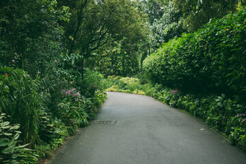 Path with greenery around, Singapore.