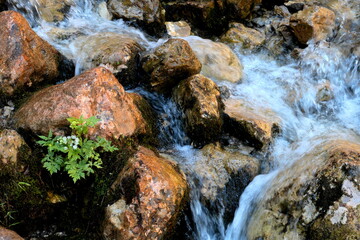 Naklejka na ściany i meble water flowing over rocks