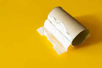 Fototapeta premium There is no toilet paper