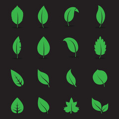 Abstract leaf icon set isolated on black background. Collection of leaf icons for symbol, logo, sign, label and app. Creative art concept. Vector illustration, flat leaves