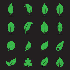 Abstract leaf icon set isolated on black background. Collection of leaf icons for symbol, logo, sign, label and app. Creative art concept. Vector illustration, flat leaves