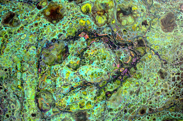 abstract background with green cells 