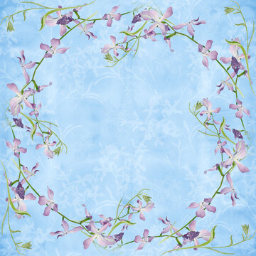  Seamless pattern. Flowers, leaves and buds of  matiola