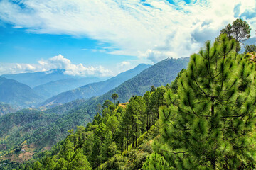 Fototapeta na wymiar Beautiful view of green himalaya range, near Chaukori, Uttarakhand, India.