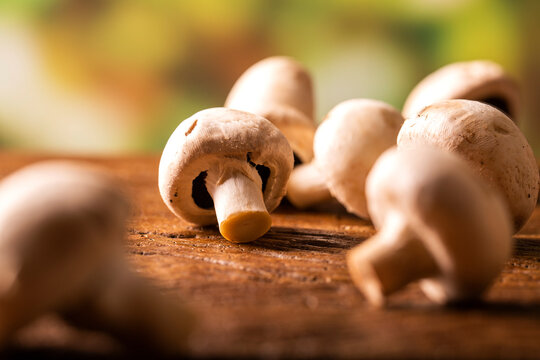 Paris or champignon Mushroom on Wood Background