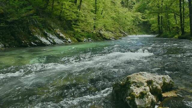 Fast clear waters of Radovna river in Vintgar Gorge Canyon near Bled, Julian Alps, Slovenia.