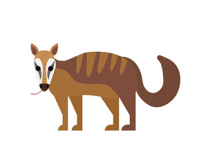 cute cartoon numbat isolated on white background vector illustration